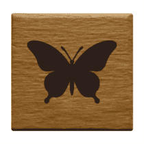 pillango_1_example