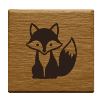 roka_1_example